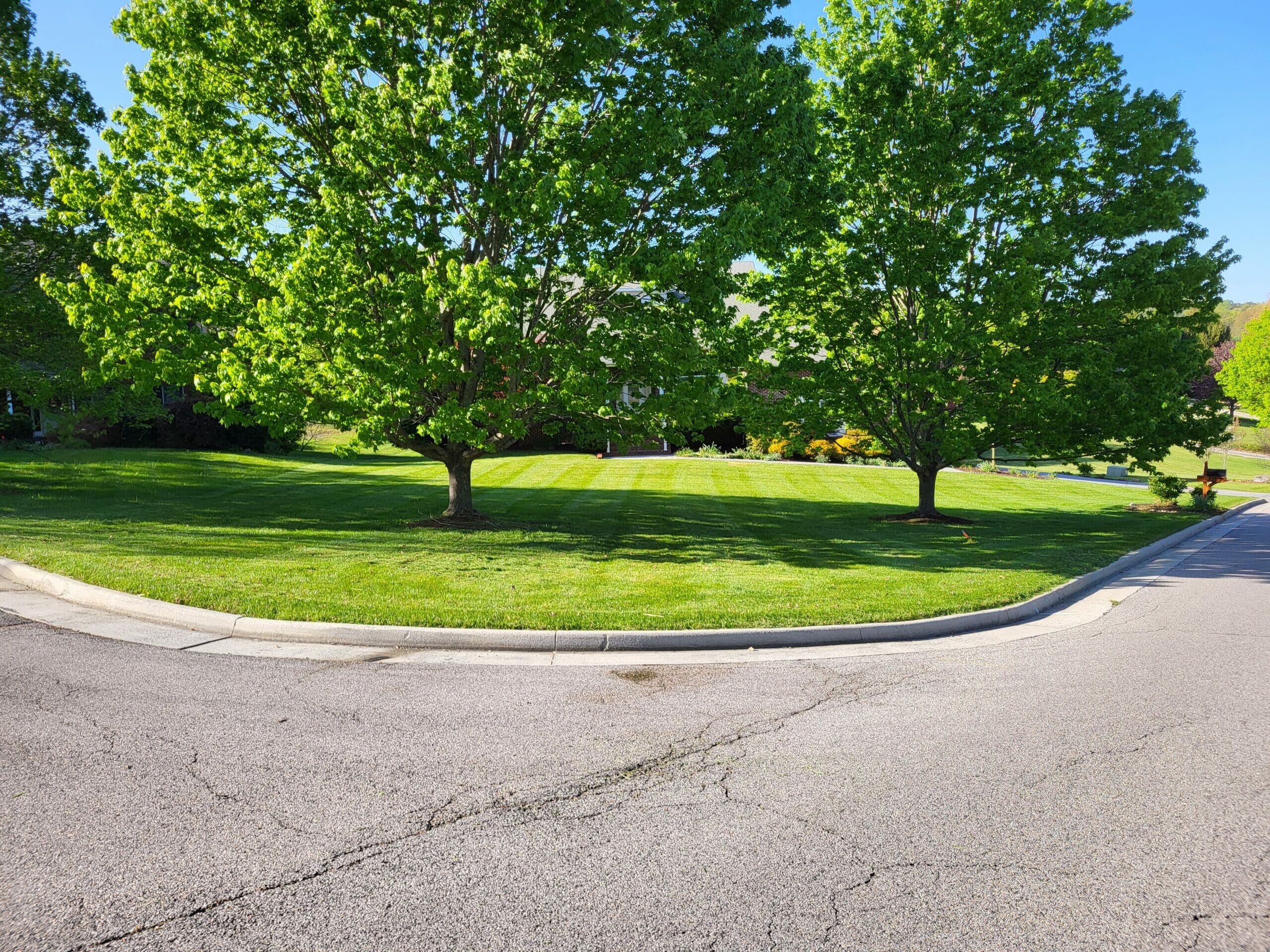 20230424_174635 Lawn Care by Curb Appeal Landscaping